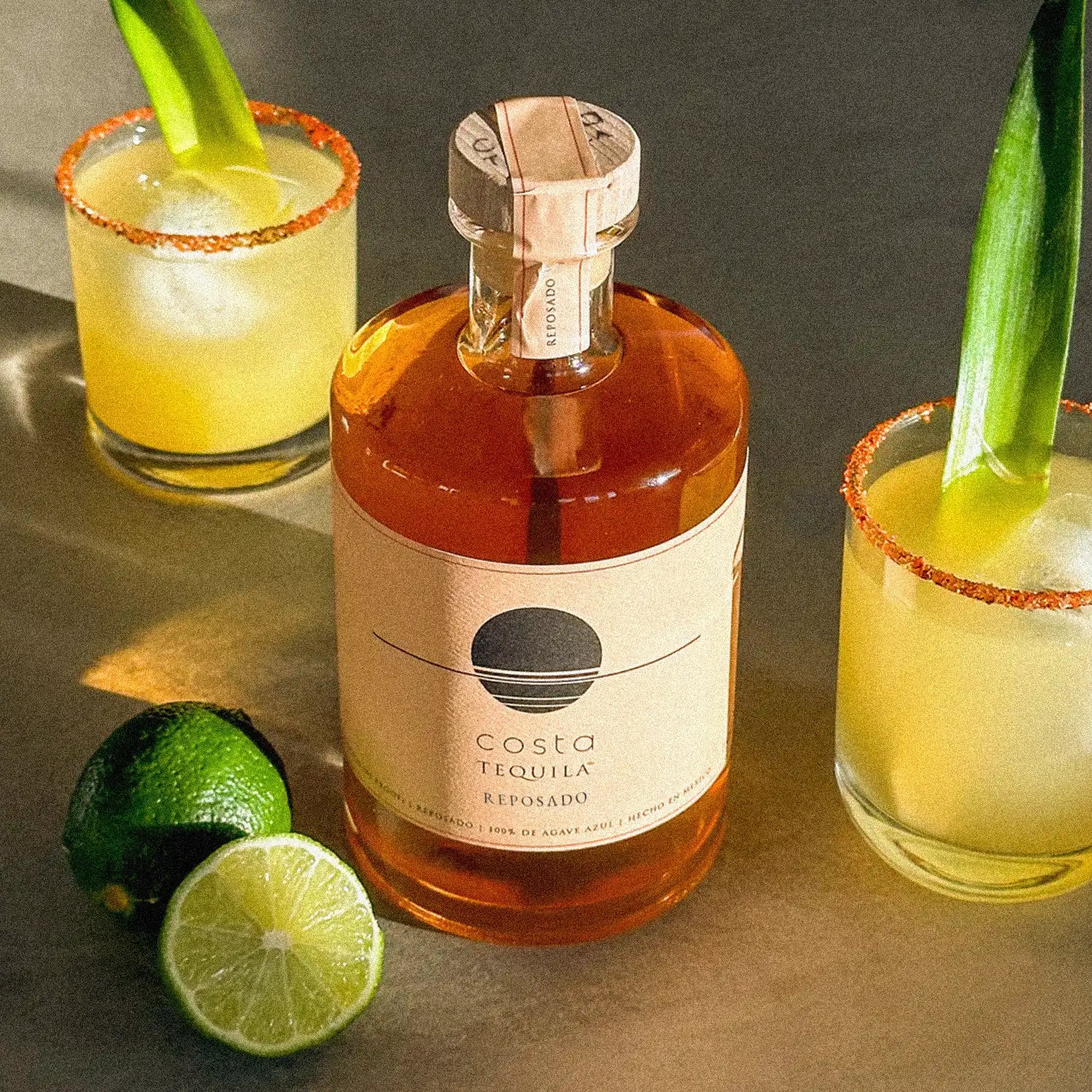 Chasing the Sun Margarita